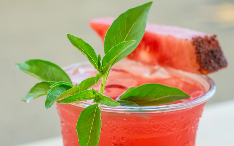 Wild Strawberry Lemonade